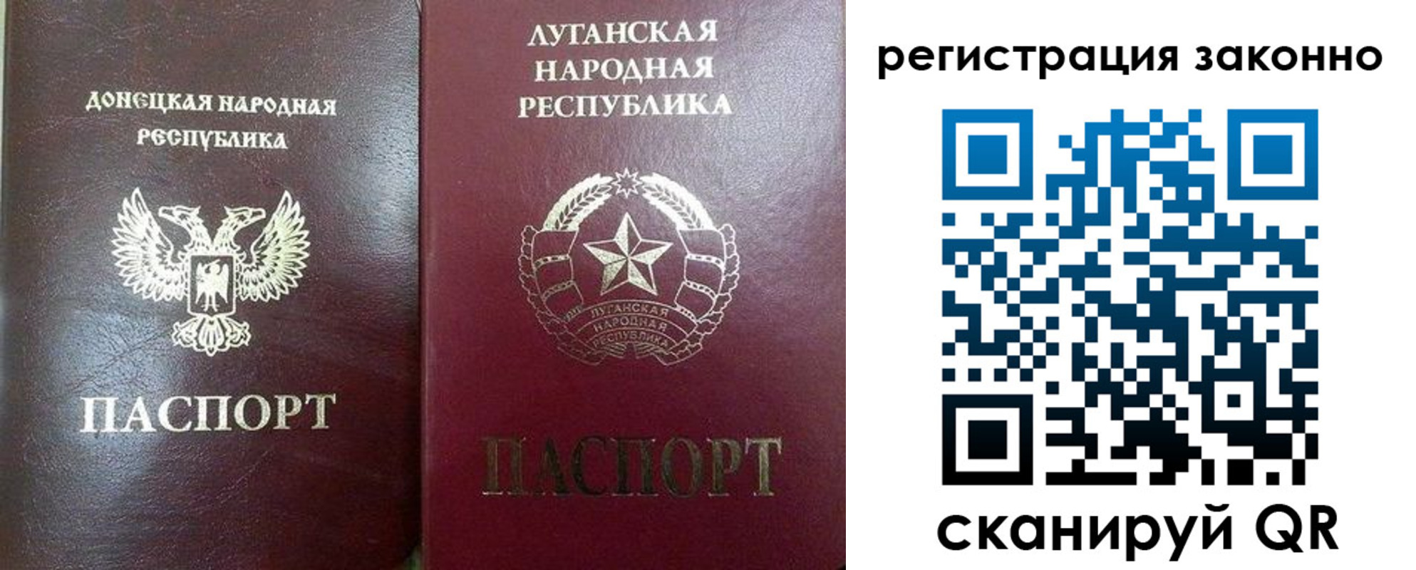 где прописаться в Дальнегорске